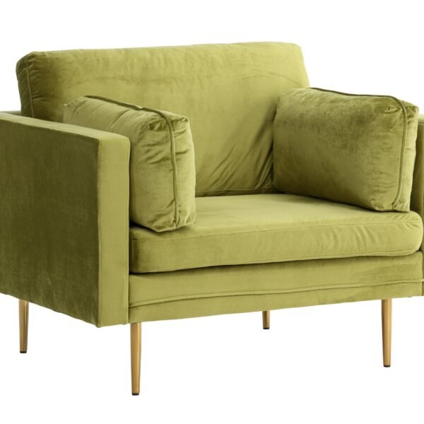 fotelis-dallas-100-zalia-ruda_4137868