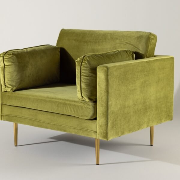 fotelis-dallas-100-zalia-ruda_4137869