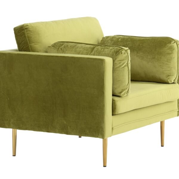 fotelis-dallas-100-zalia-ruda_4137870