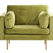 fotelis-dallas-100-zalia-ruda_4137872