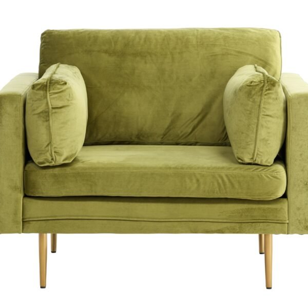 fotelis-dallas-100-zalia-ruda_4137872