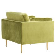 fotelis-dallas-100-zalia-ruda_4137875