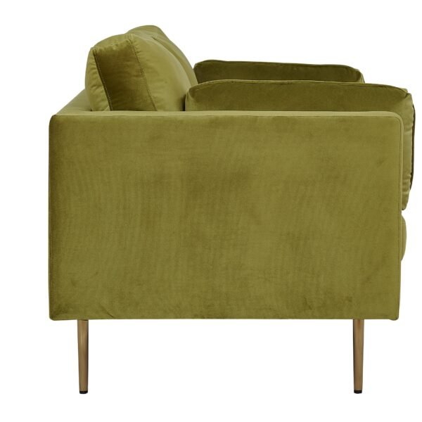 sofa-dallas-101-zalia-auksine_4223848